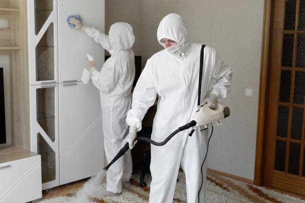 24/7 Emergency Odor Removal experts in Arlington, WA